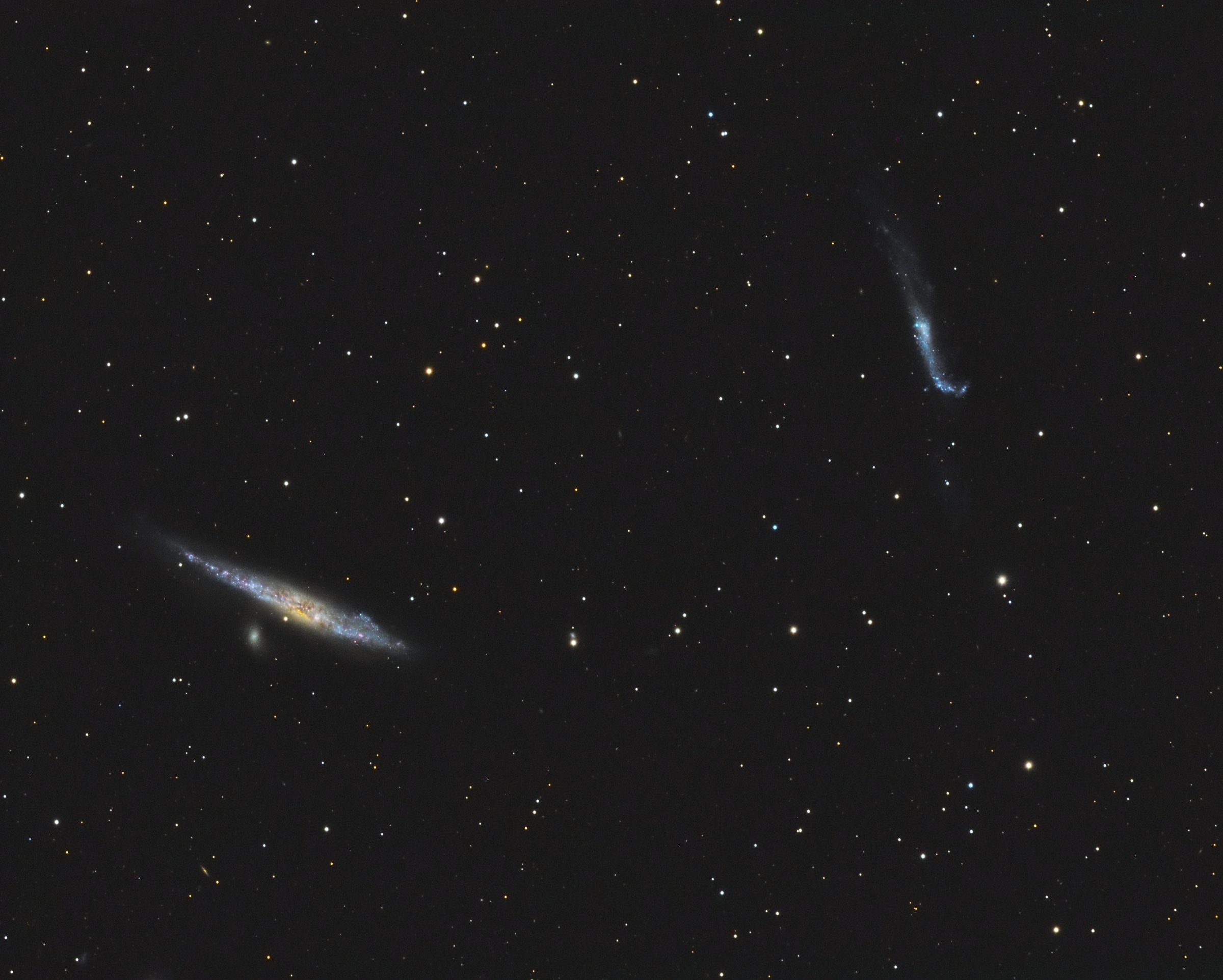 NGC 4631 La baleine - 31 Mai 2014