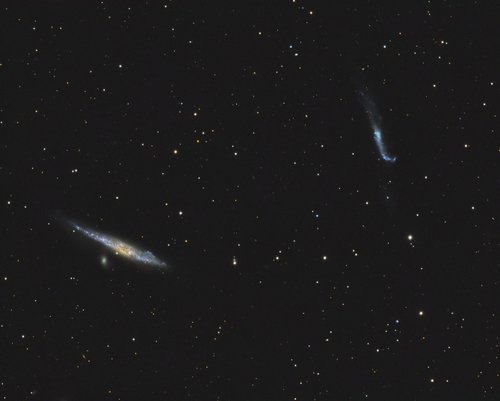 NGC 4631 La baleine - 31 Mai 2014 — Photo de NGC 4631, astrophotographie