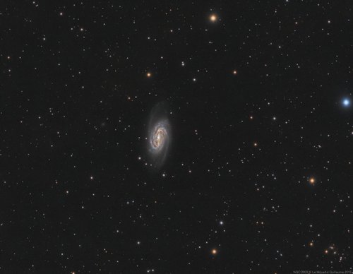 NGC 2903 - 12 Avril 2015 — Photo de NGC 2903, astrophotographie