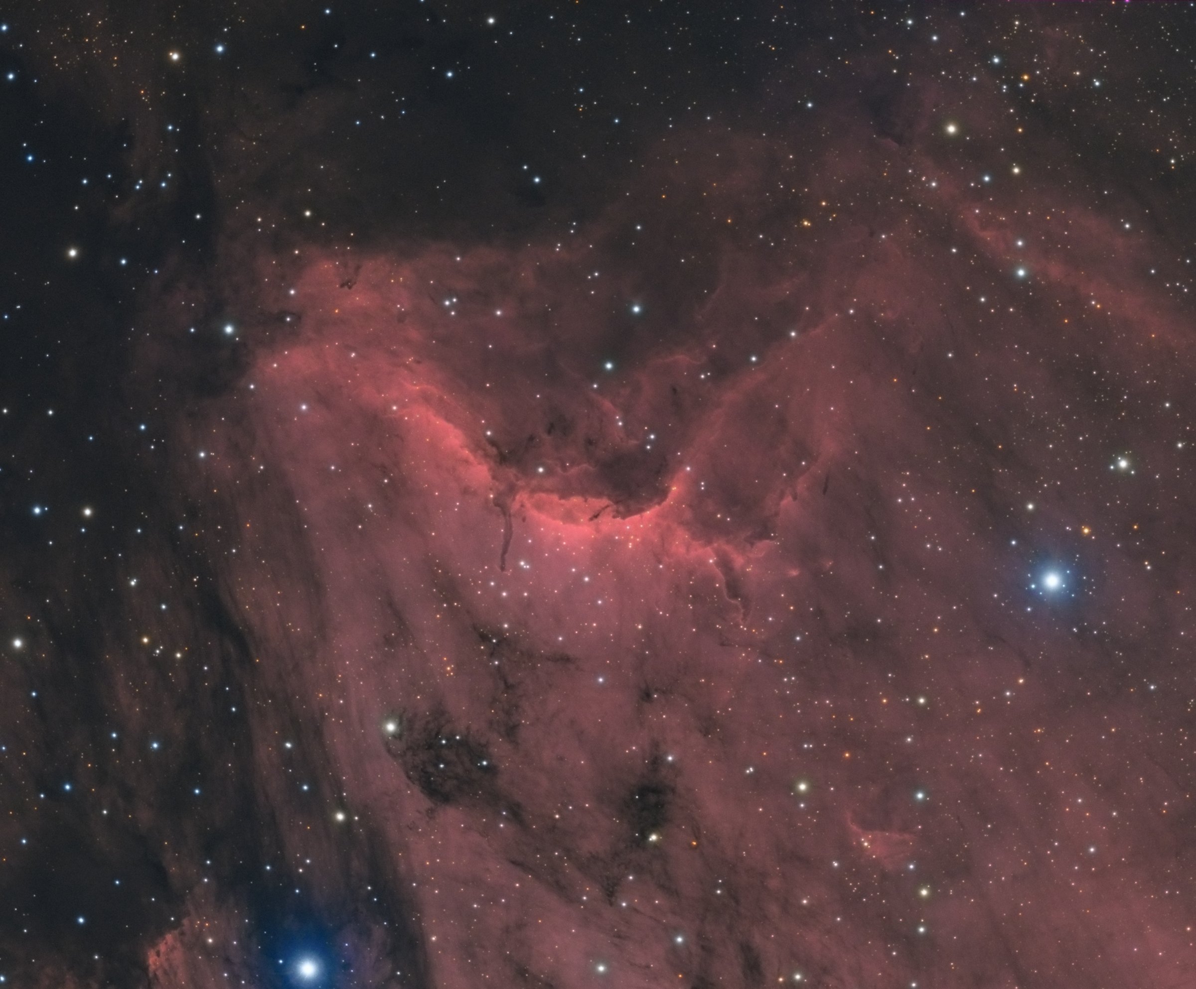 Nébuleuse du Pelican - 2 Septembre 2014