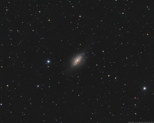 NGC 3521 - 13 Avril 2015 — Photo de NGC 3521, astrophotographie