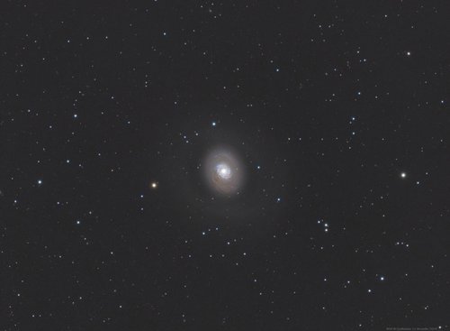 M94 - 6 Juillet 2016 — Photo de M94, astrophotographie