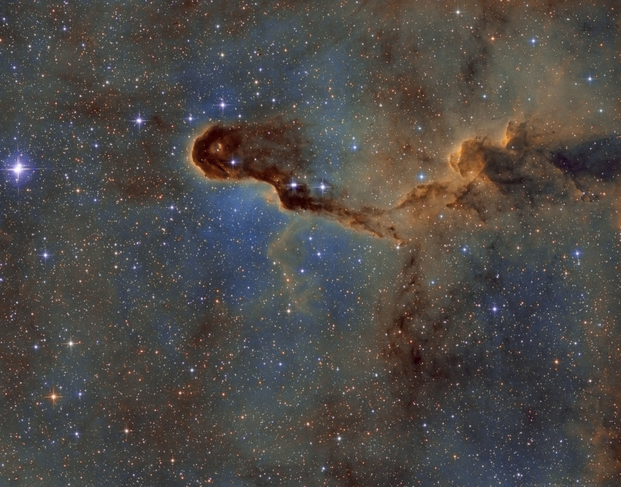 IC1396 La trompe SHO - 12 Août 2018
