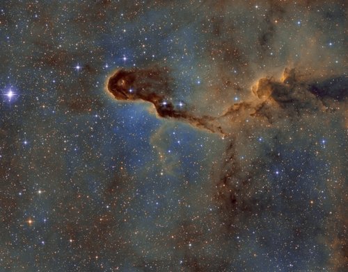 IC1396 La trompe SHO - 12 Août 2018 — Photo de LBN 455, astrophotographie
