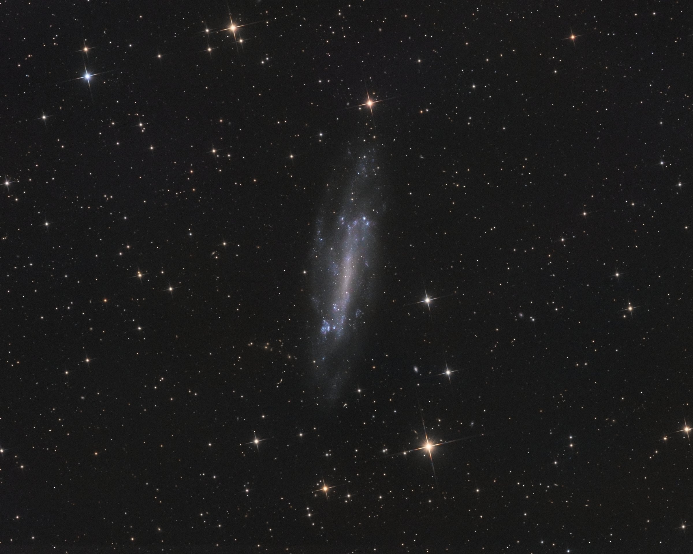 NGC4236 - 28 Mars 2019