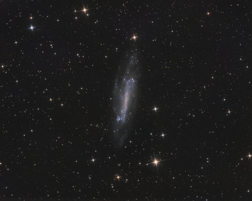 NGC4236 - 28 Mars 2019 — Photo de NGC 4236, astrophotographie
