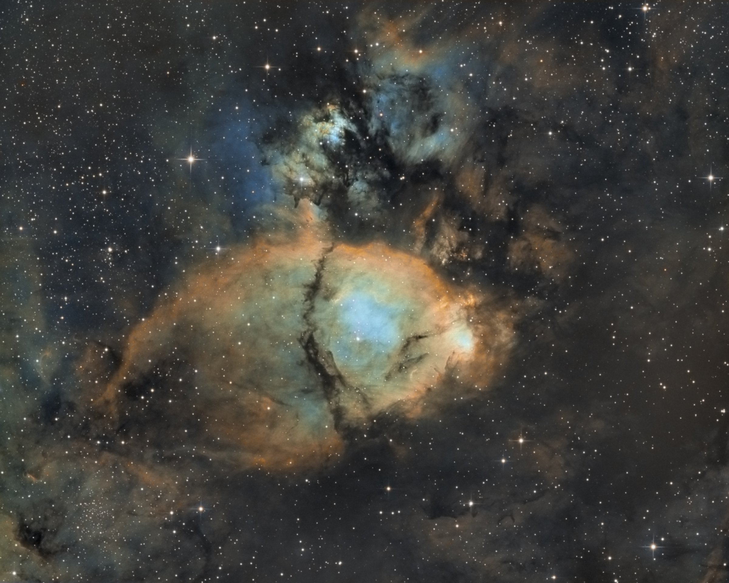 IC1795 Fish head - 5 Octobre 2018