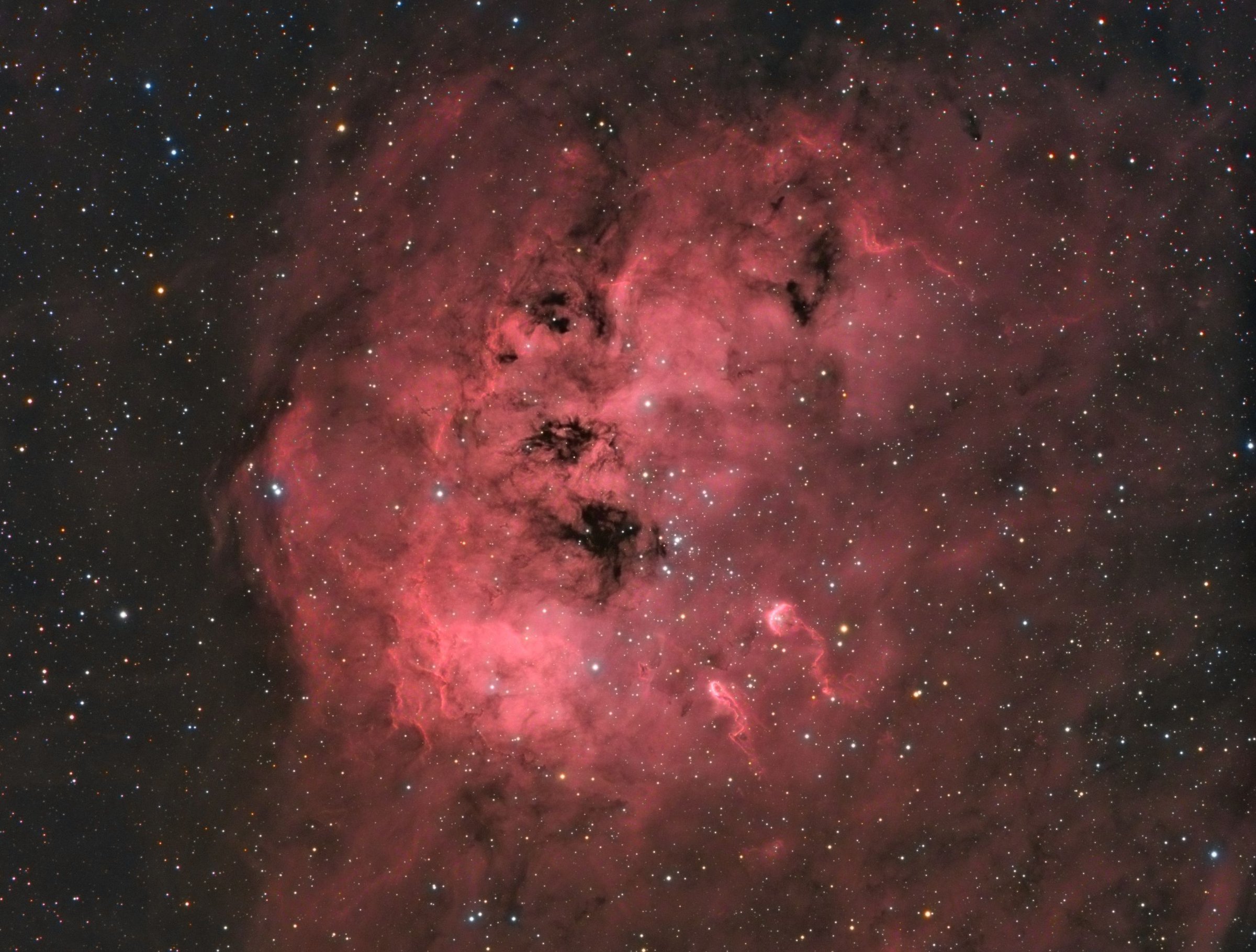 IC410 la Nébuleuse des têtard