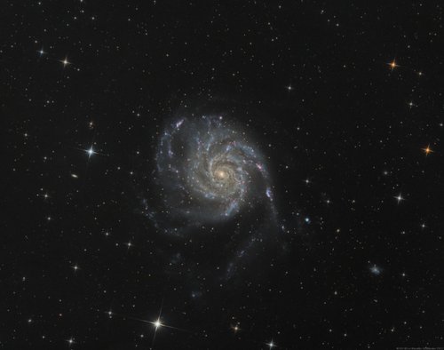 M101
