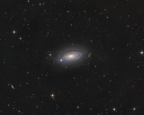 M63