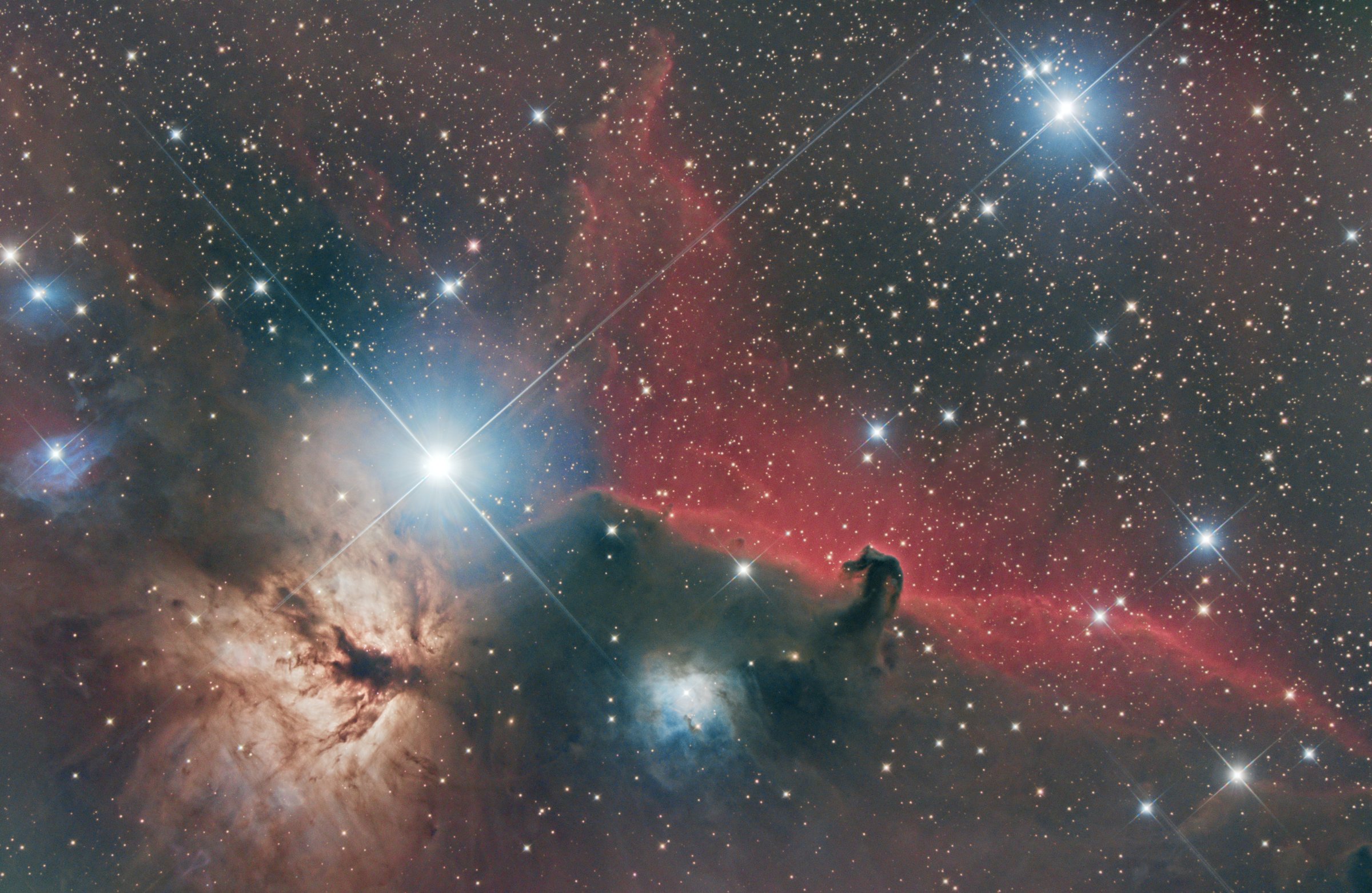 Head Horse IC434 - N250 11/02/2023