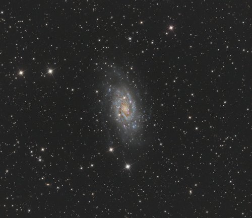 NGC2403 - AG10" F3.5 20/02/23 — Photo de NGC 2403, astrophotographie