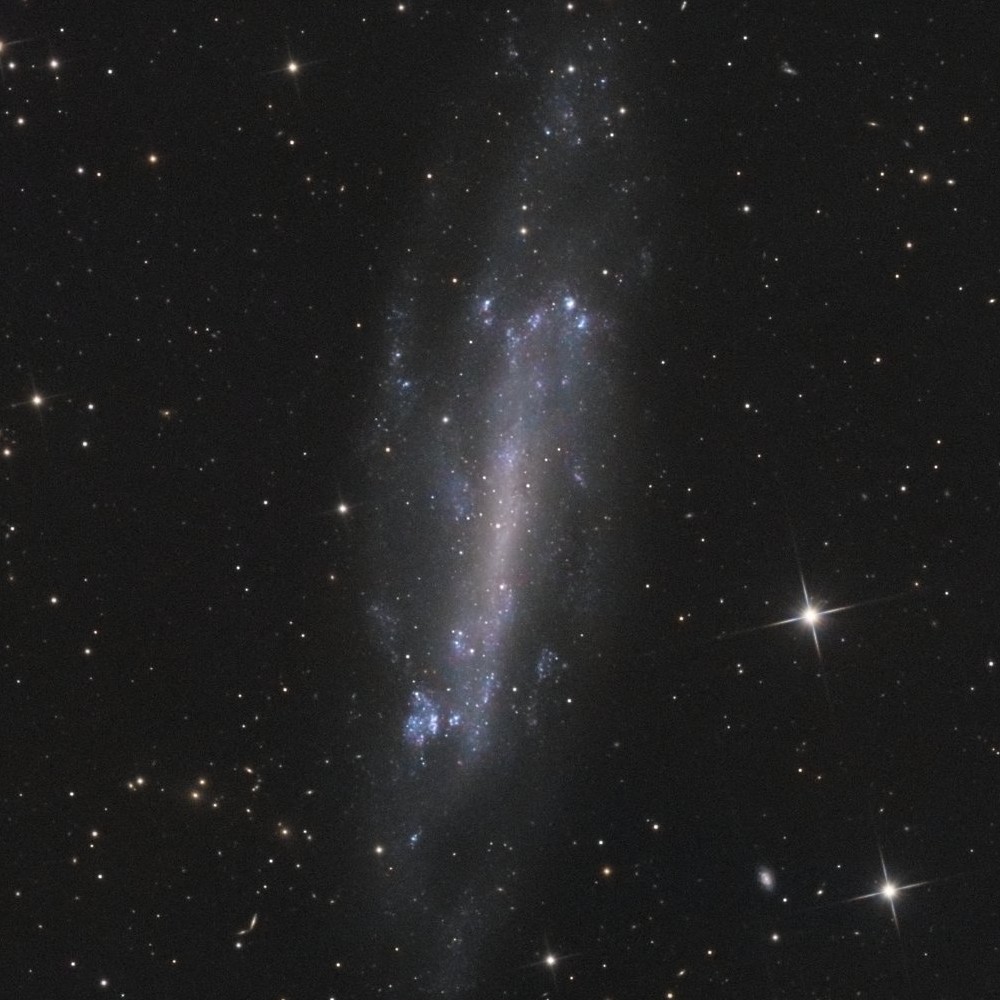 NGC4236 - 28 Mars 2019 — détail 1