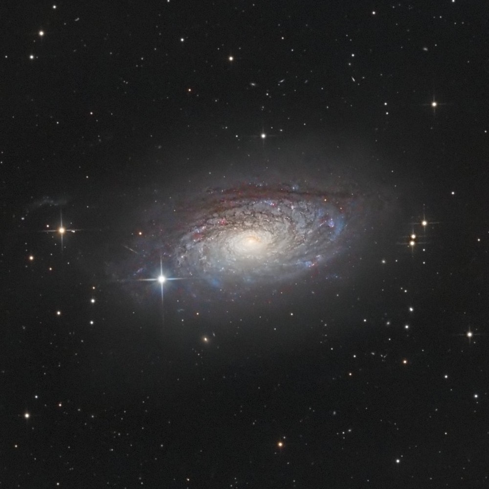 M63 - 19 Mars 2020 — détail 1