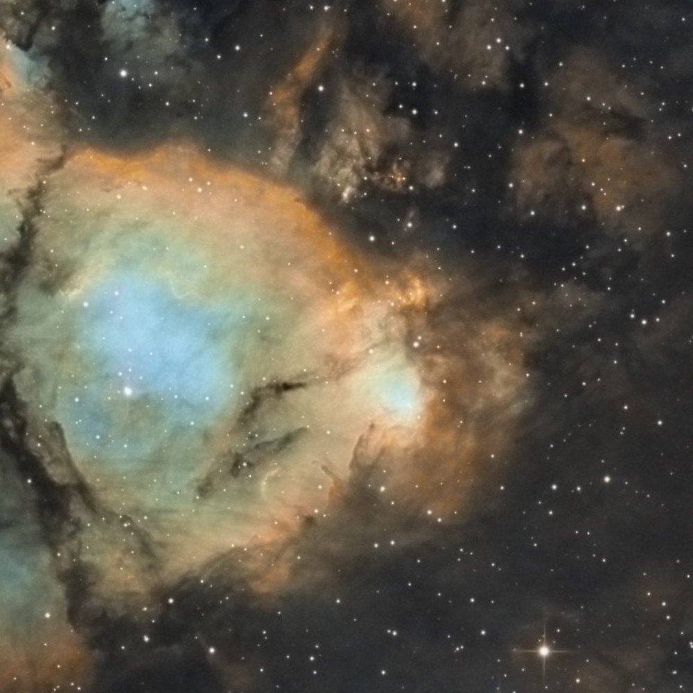 IC1795 Fish head - 5 Octobre 2018 — détail 1