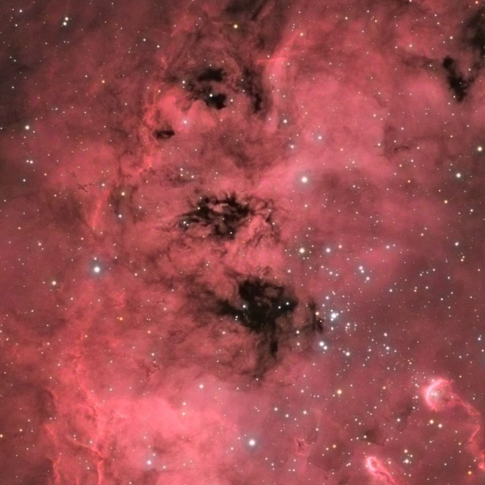 IC410 la Nébuleuse des têtard — détail 1