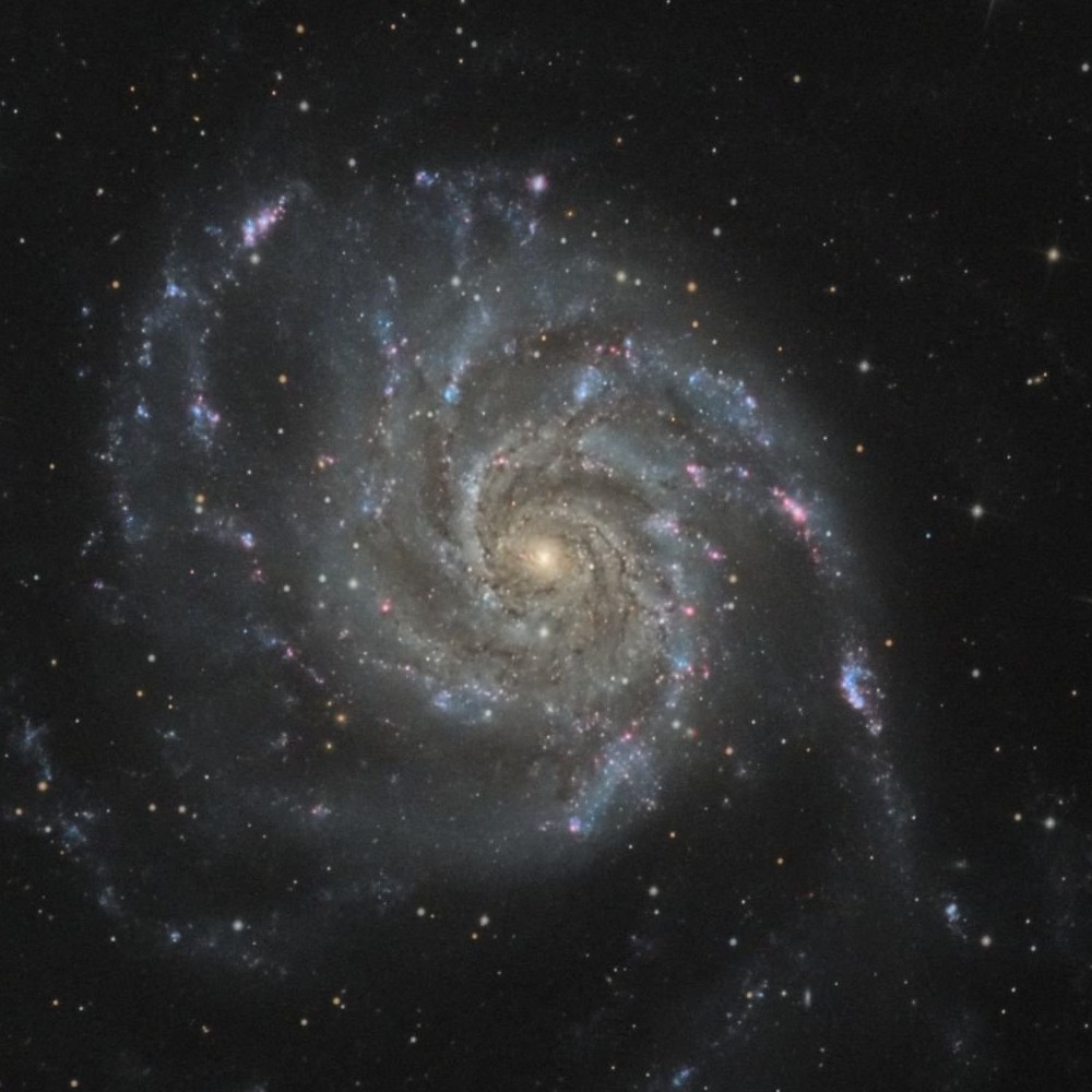 M101 — détail 1