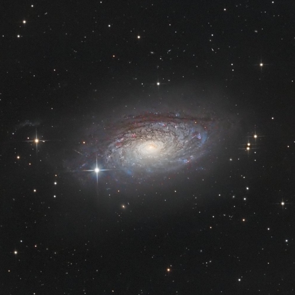 M63 — détail 1
