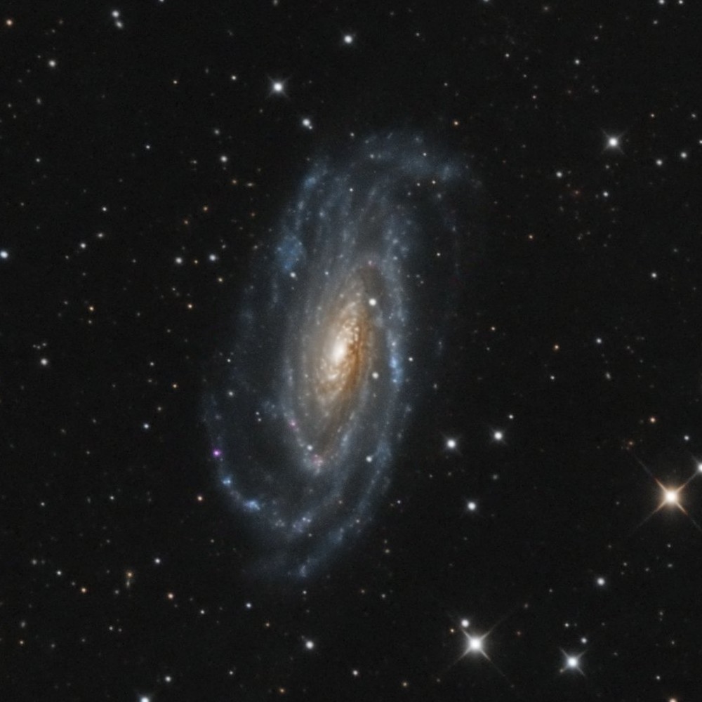 NGC5033 - Mai 2022 — détail 1