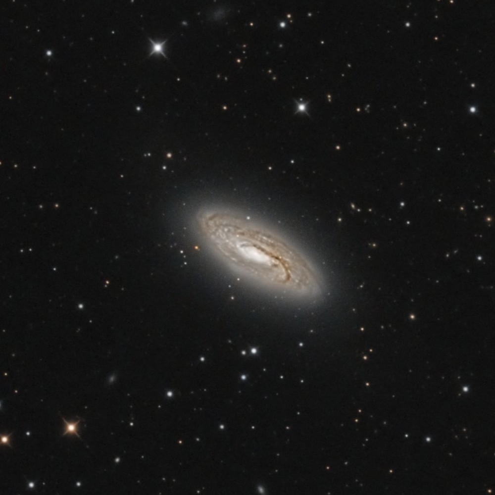 NGC5033 - Mai 2022 — détail 2