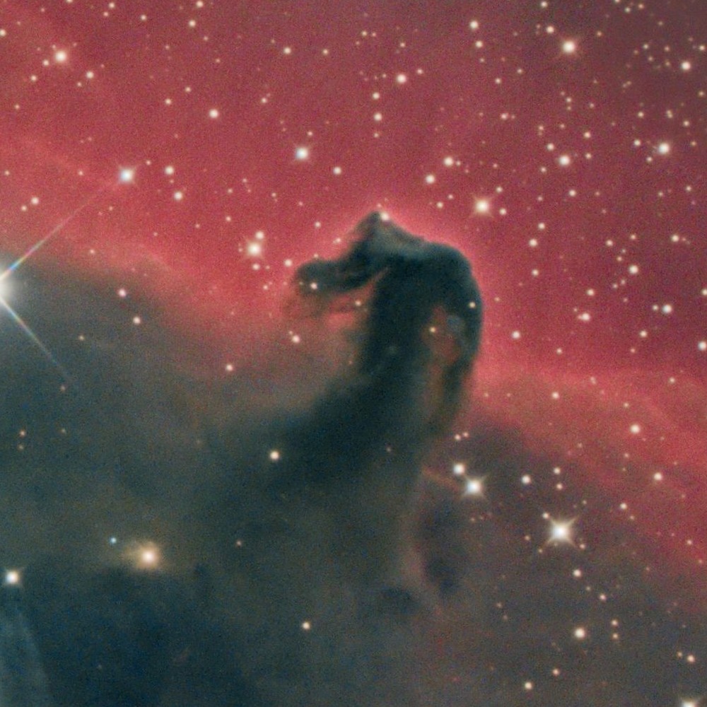 Head Horse IC434 - N250 11/02/2023 — détail 2